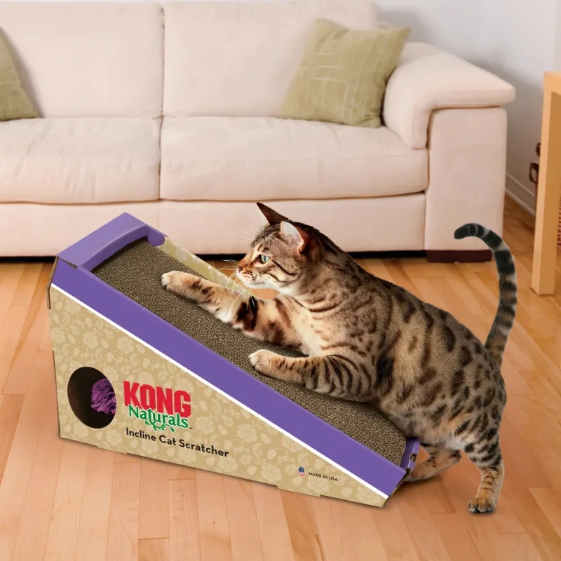 Cats Enjoying Multi-Level Cardboard Scratchers