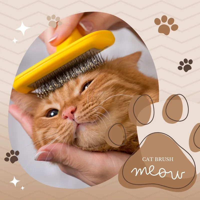 Cat Brush Will Transform Your Cat’s Grooming Routine Overnight