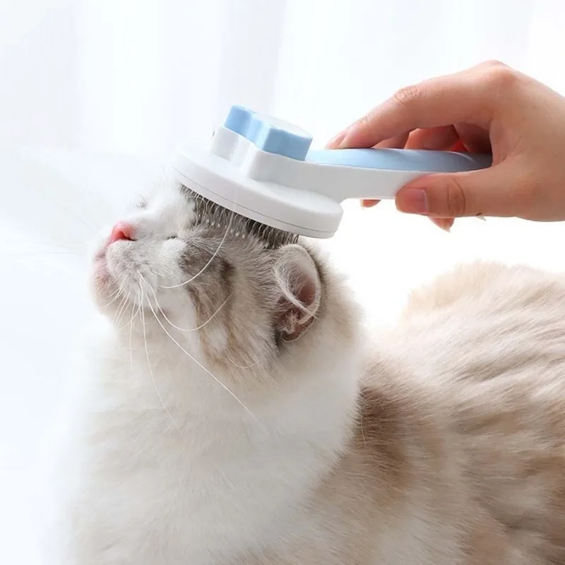 A cat brush is a grooming tool specifically designed for cats