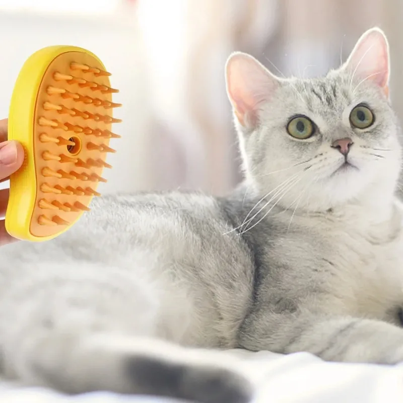 Chewy cat brush