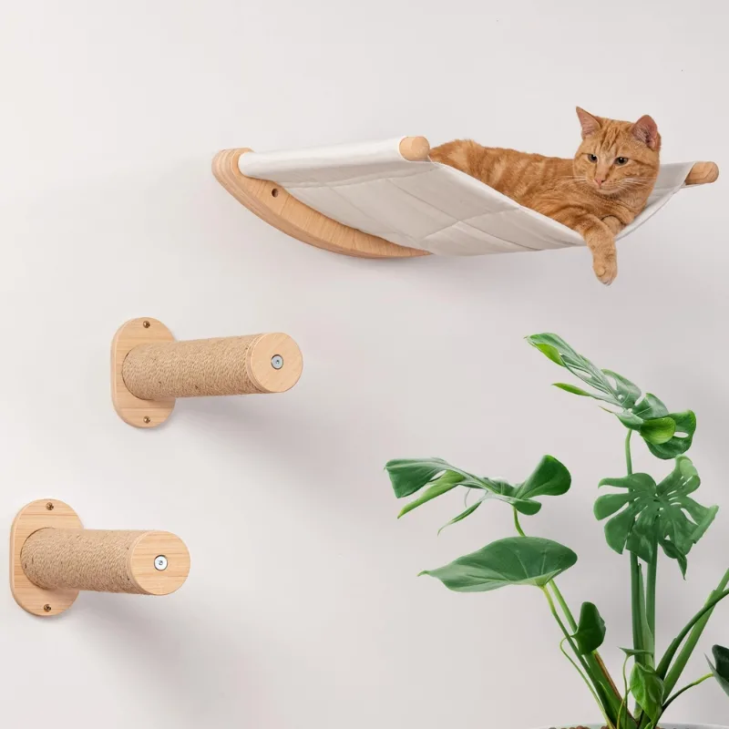 Cats love new things