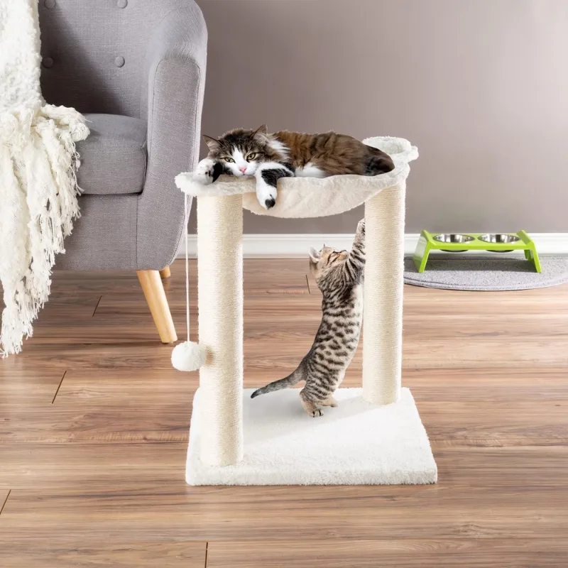 Playful Cat Climbing a Cat Tree