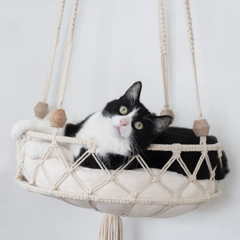 Fluffy Cat Resting on a DIY Cat Hammock