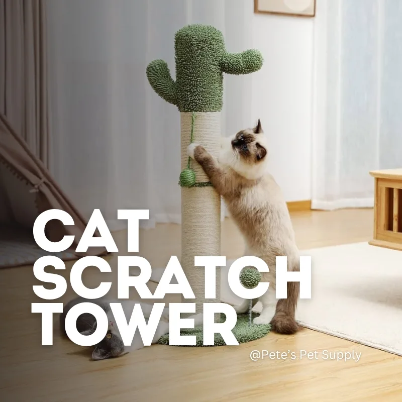 10+ Cat Scratch Tower Models That Are Worth Buying