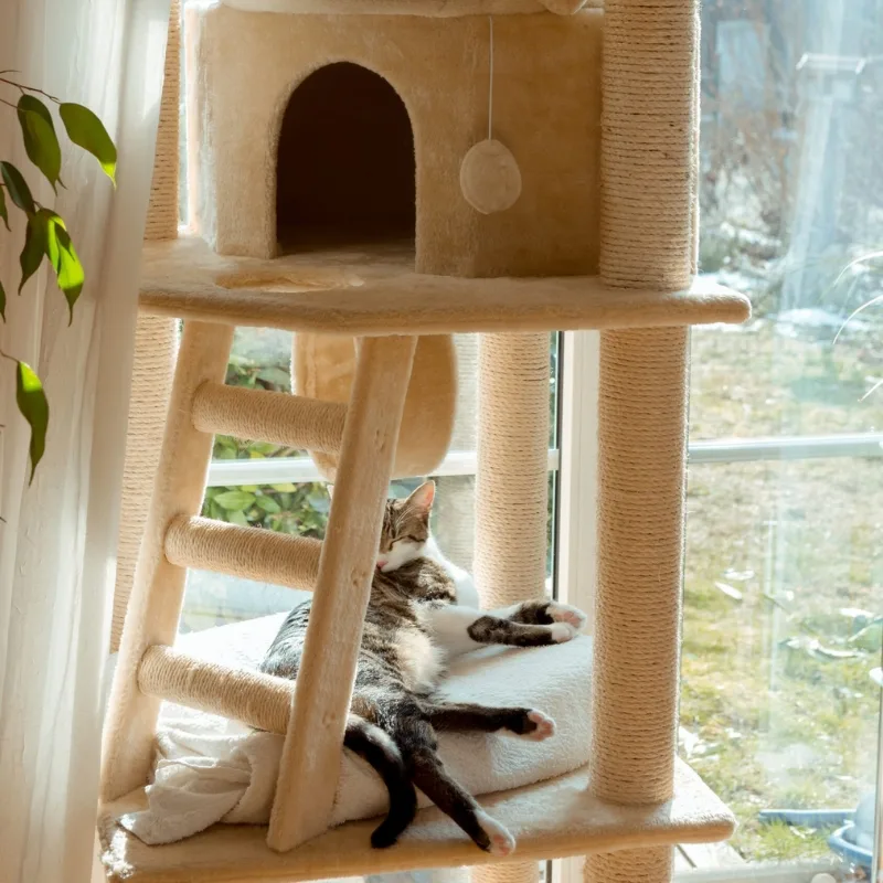 Creative Cat Scratch Tower Ideas for Happy Cats