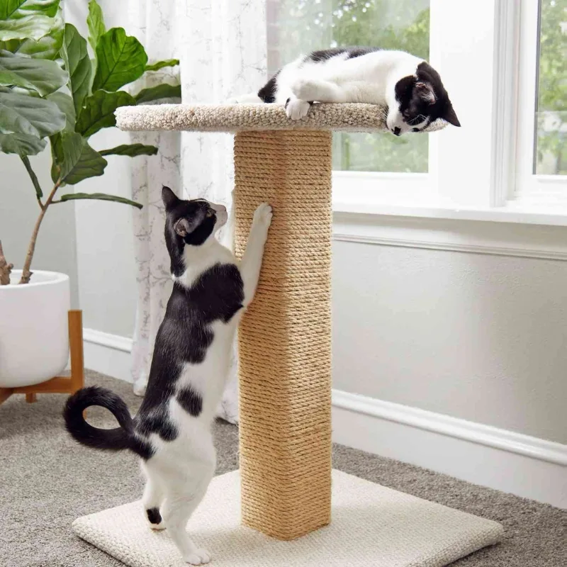 cat scratcher tree