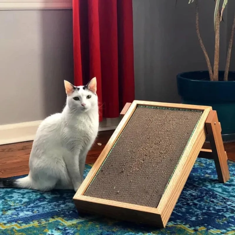 Cat Enjoying a Cardboard Scratcher 