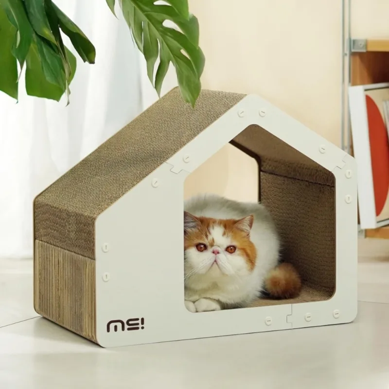 Cat scratcher house designed specifically for cats