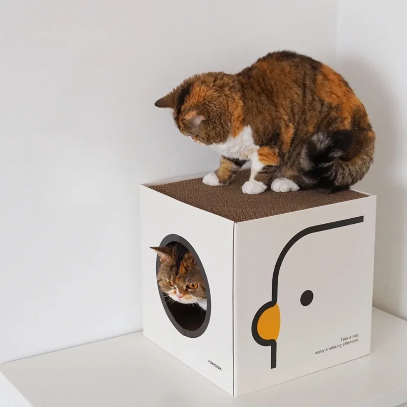 Beautiful cat scratching house design