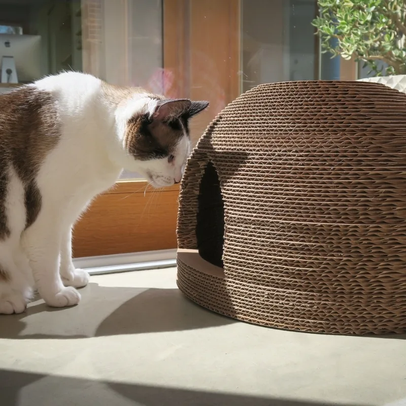 Creating a DIY cat scratcher house