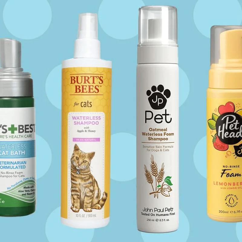 Best Cat Shampoo for Shedding