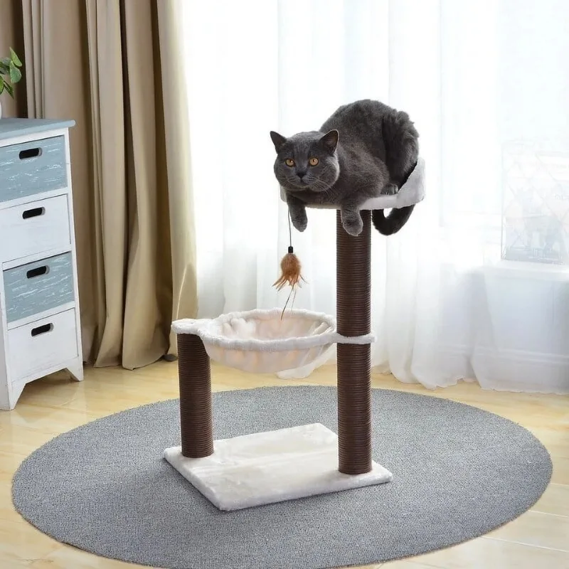 Choosing a cat tree equipped with a hammock