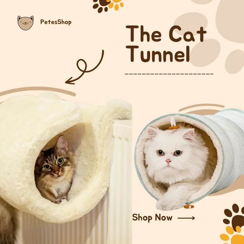 Cat Tunnel for Active Play