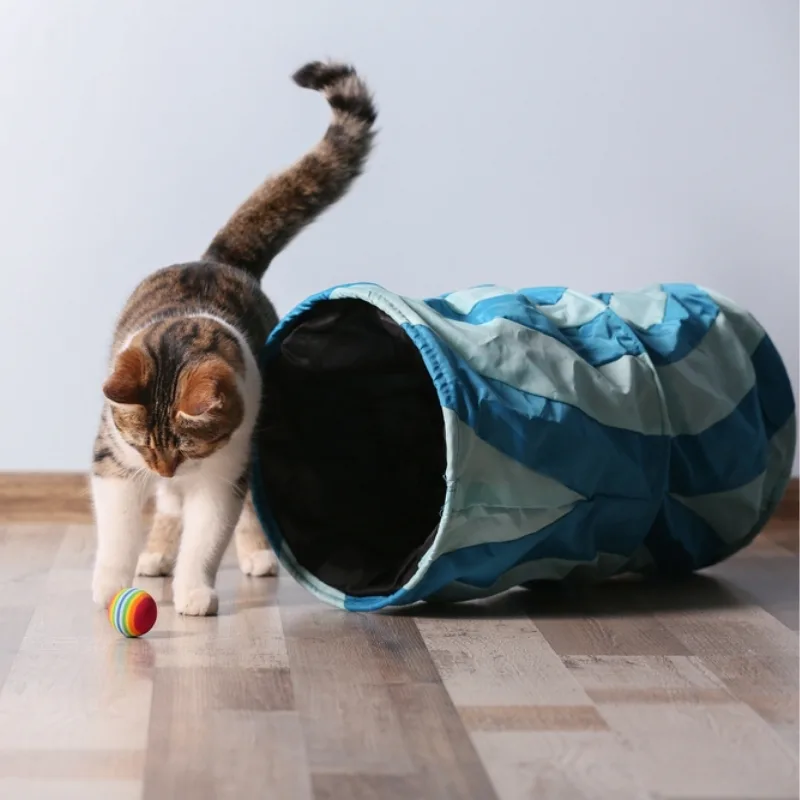 A cat tunnel is a playful accessory for your feline friend