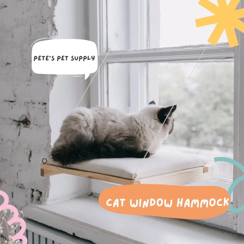 Don’t Buy a Cat Window Hammock Until You Read This Guide!