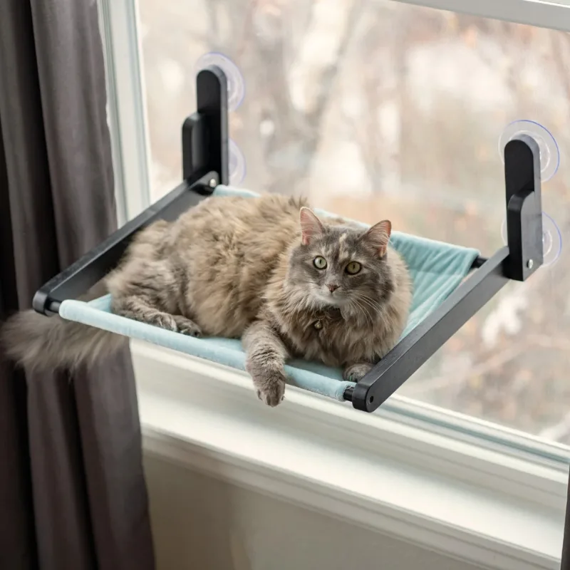 Cozy Cat Sleeping on a Window Perch