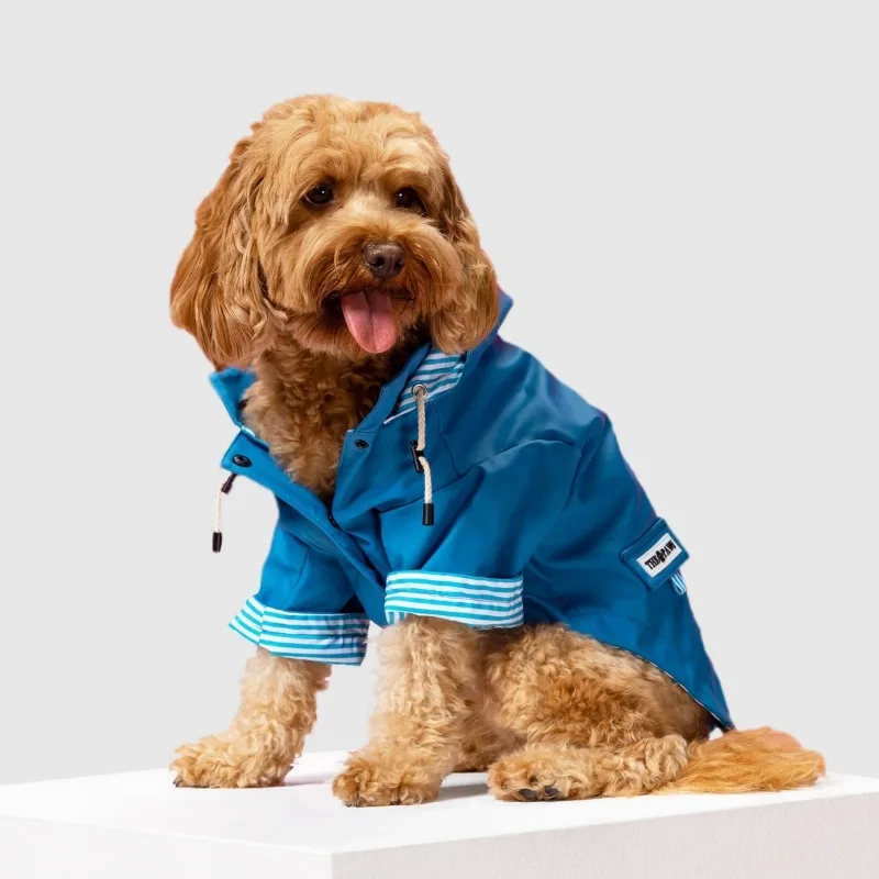 Investing in a quality dog raincoat