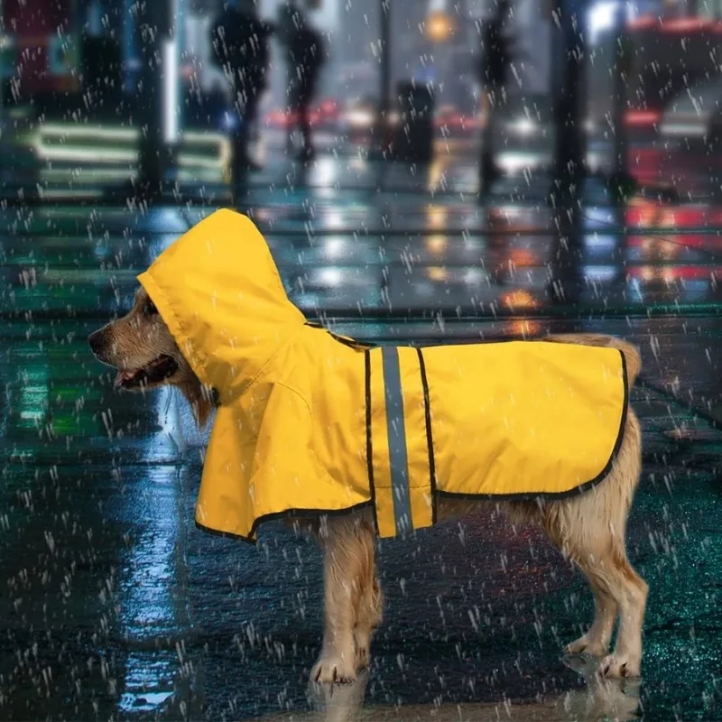 Raincoats help dogs avoid getting wet