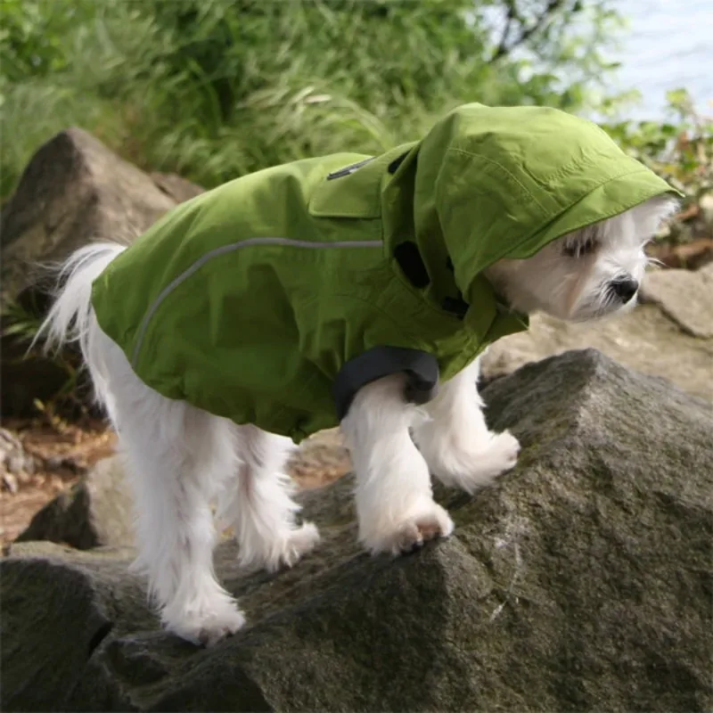 Creating a homemade dog raincoat can be a fun