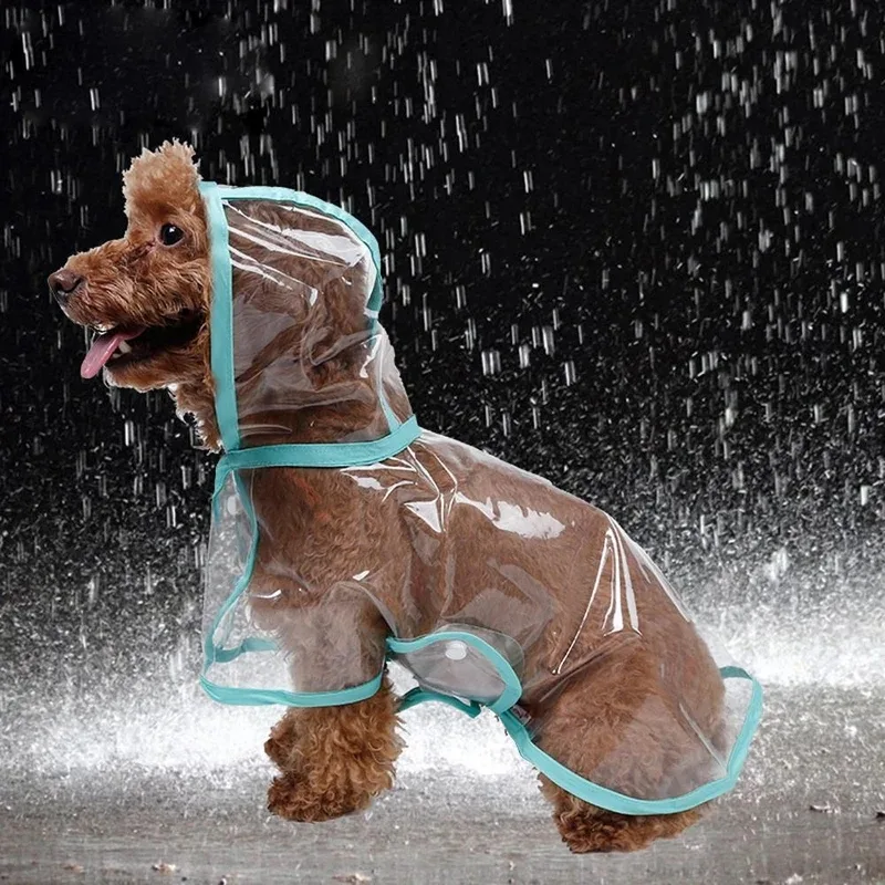 Trendy Raincoat for Dog