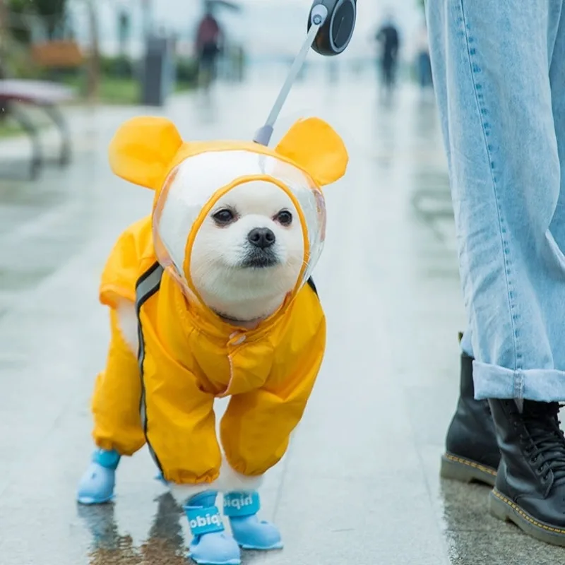 Dogs in Adorable Rain Attire