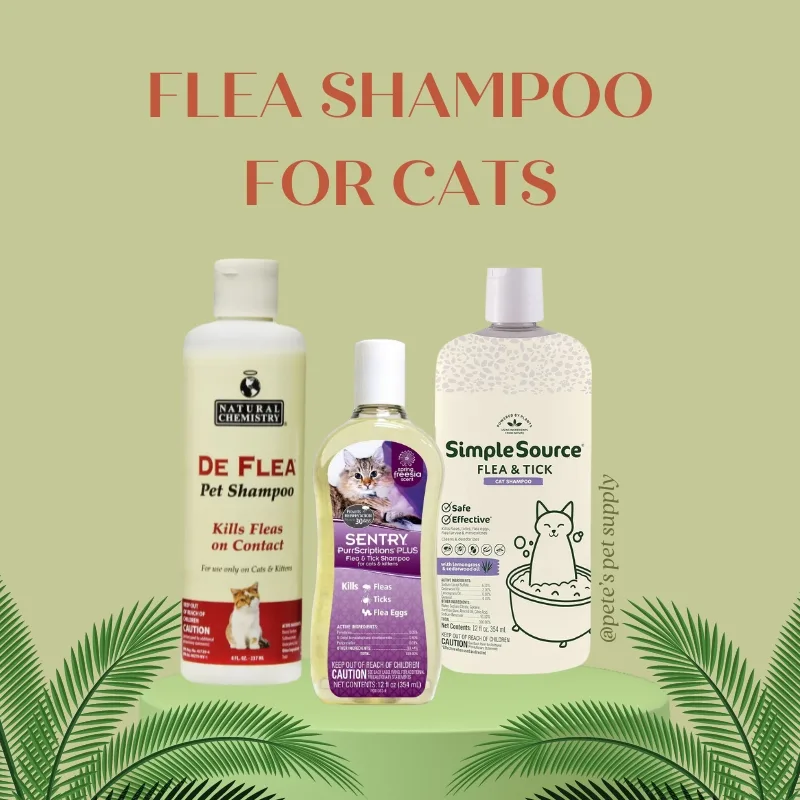 Top 5 Natural Flea Shampoo for Cats: An In-Depth Review