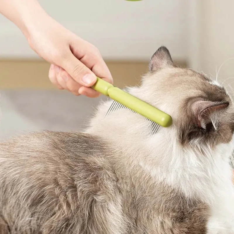 understanding how to brush a cat