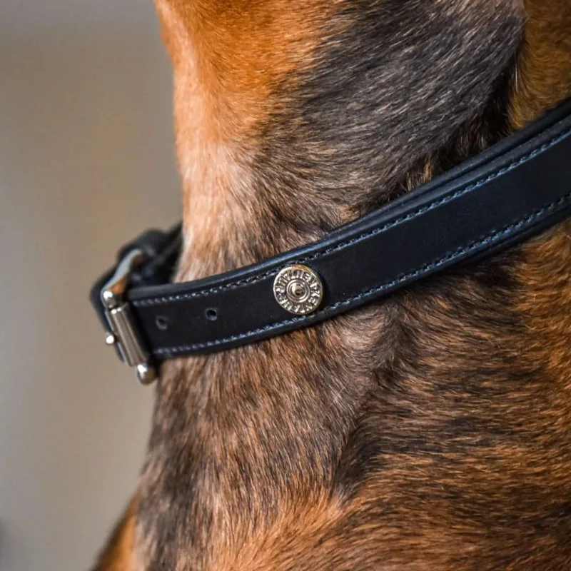 Quality Leather Collars