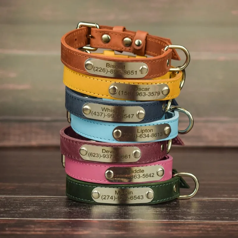 Unique Collars for a Personal Touch