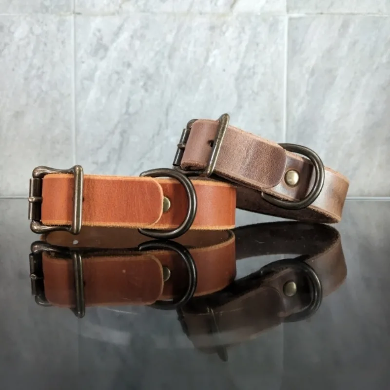 the benefits of leather dog collars