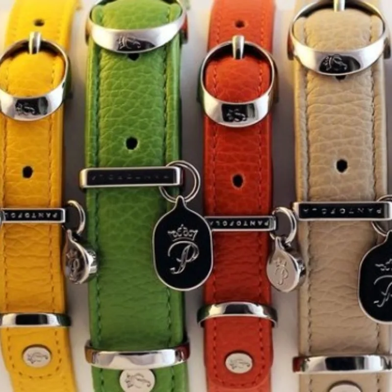 Custom Leather Dog Collars