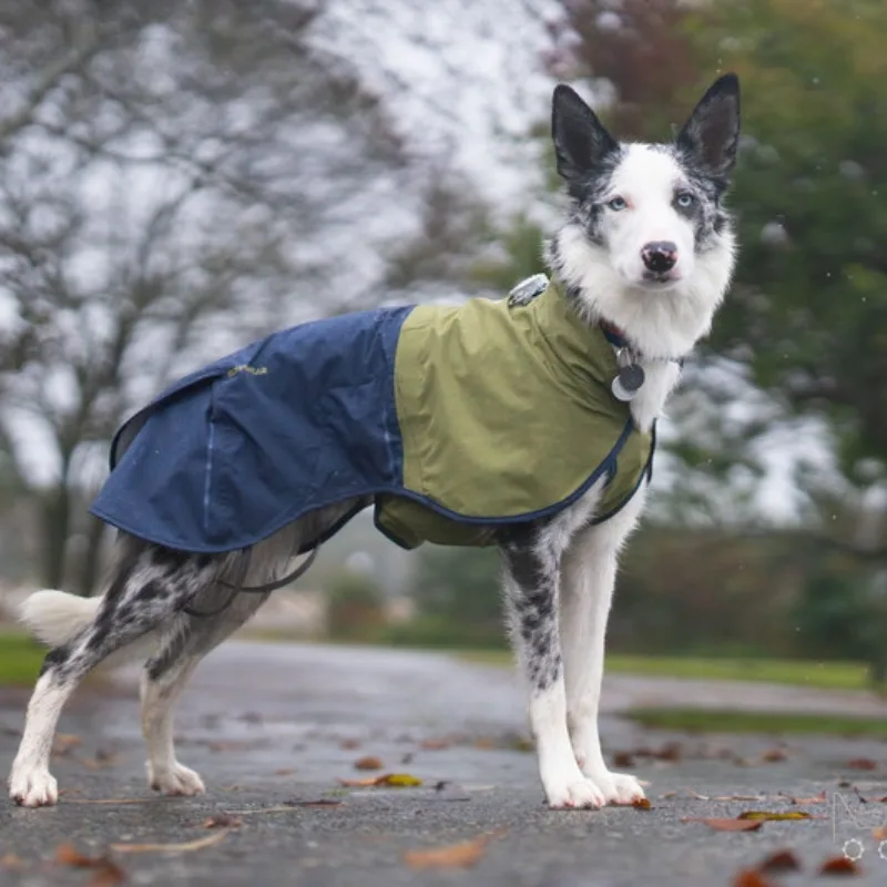 Best Lightweight Raincoats for Dogs