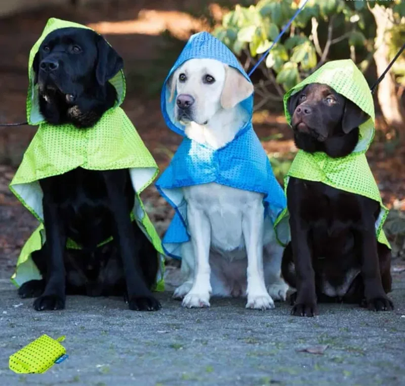 Packable Dog Rain Poncho