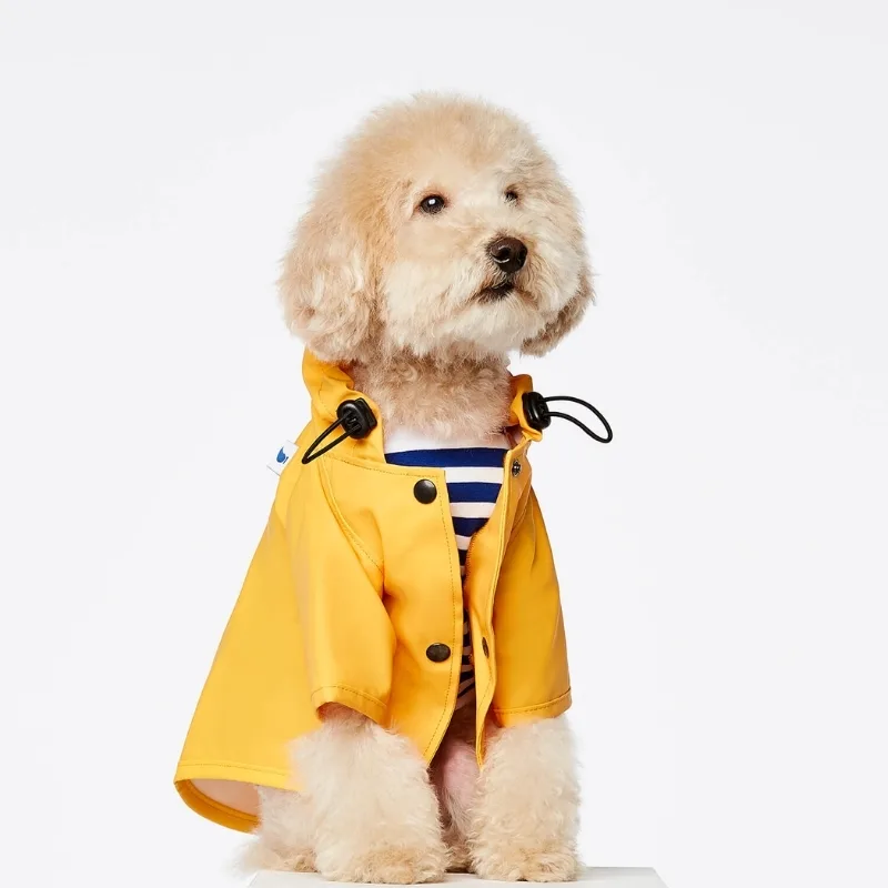 Minimalist Design, Maximum Protection: Lightweight Dog Raincoats