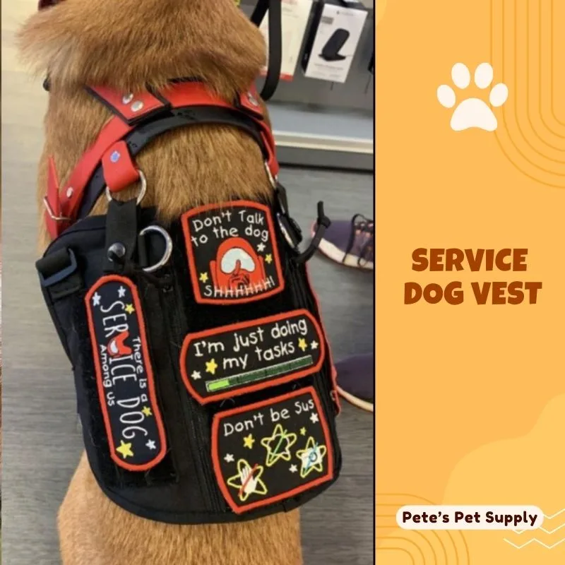 Service Dog Vest: Ultimate Guide to Choosing the Perfect Fit