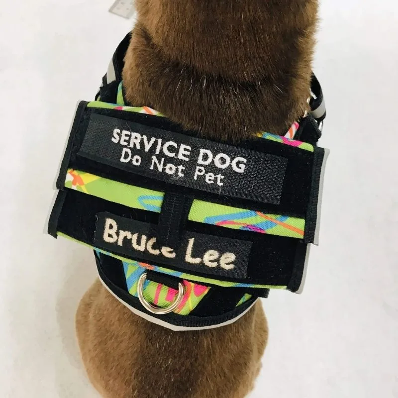 Storage Options on Service Dog Vests