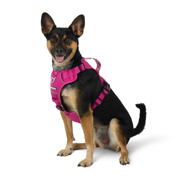 Arcadia Trail® Adjustable, Reflective Thread, Quick Dry Dog Harness