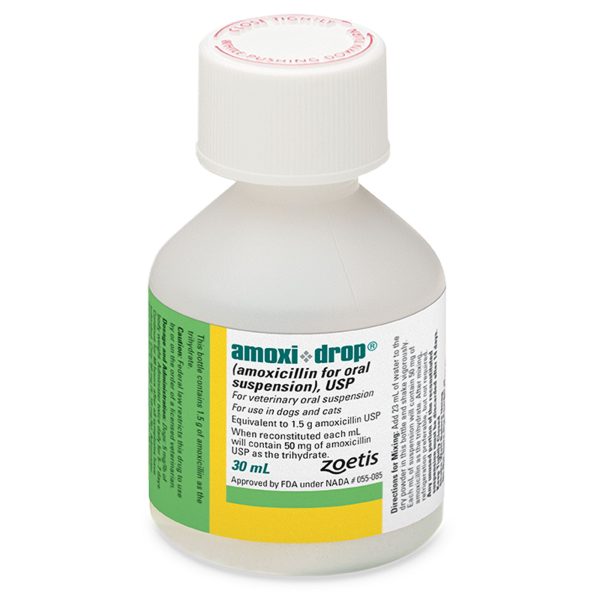 Amoxi-Drop (amoxicillin for oral suspension) for Dogs & Cats, 50 mg, 30 mL