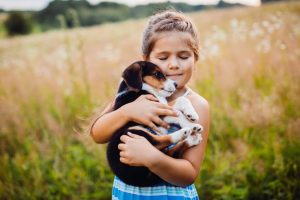 Animal Compassion