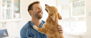Animal Welfare