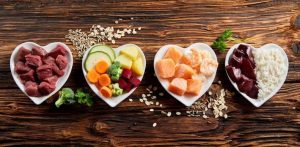 Dog Nutrition
