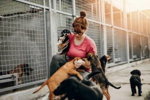 Dog Rescue