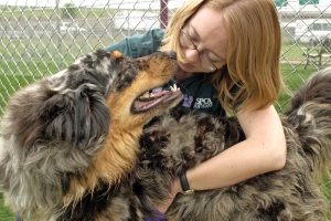 Emotional Dog Rescue