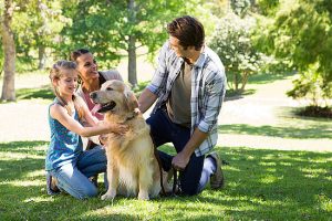 Pet Companionship