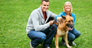 Responsible Pet Ownership