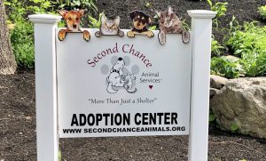 Second Chance Animals